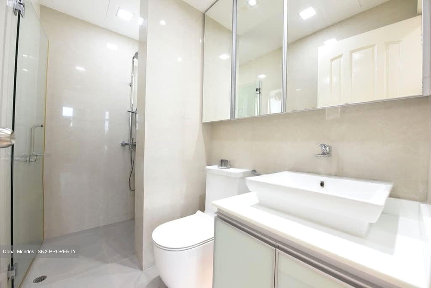 Spring Grove (D10), Condominium #581262141